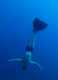 Michael Naef, Unterwasserwelt