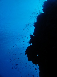 Deep snorkeling at the Blue Hole